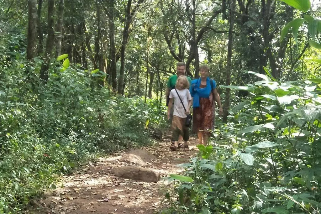 2Bhk River Side Cottage 11Km Way From Ranipuram Kallar  Holiday home
